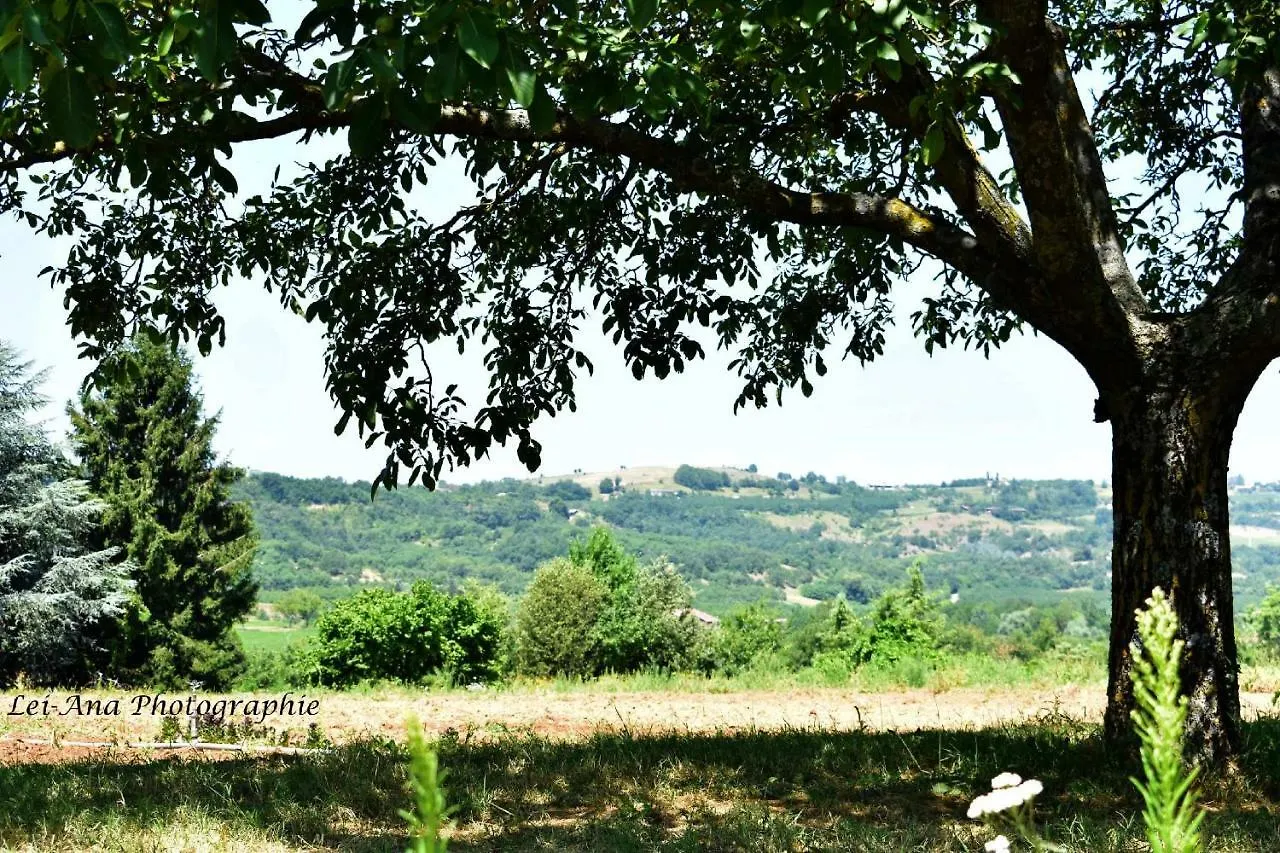 Chambre D'Hotes Aux Pieds Des Noyers Saint-Lattier 0*,  France